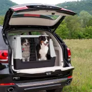 Снимка на Ferplast Atlas Car Maxi - Транспортна клетка за автомобил за кучета, 100 / 80 / 71 см. 2