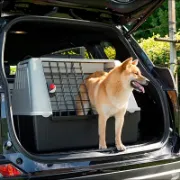 Снимка на Ferpalst Atlas Car 80 - Транспортна клетка за автомобил за кучета, 82 / 51  / 61 h см. 2