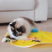 Снимка на Ferplast Predator - Забавна интерактивна играчка за котки, електрическа , 61 / 8 cм. 1