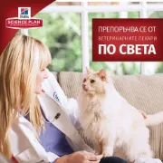 Снимка на Hill's Science Plan Adult с пилешко - Суха храна за котки 1-6 години 0.300 гр. 6
