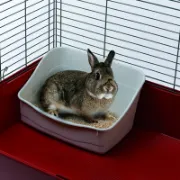 Снимка на Ferplast mini rabbits - Тоалетна за мини зайчета и други гризачи, 37 / 27 / 18,5 см. 3