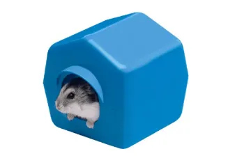 Показвай детайлите за Ferplast Isba - Пластмасова къщичка за хамстери и мишки 10,4 / 11,4 / 11 см. 1 - MyPetShop.bg Снимка на Ferplast Isba - Пластмасова къщичка за хамстери и мишки 10,4 / 11,4 / 11 см. 1