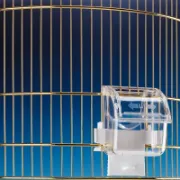 Снимка на Ferplast Feeder- Външна пластмасова хранилка за канари, екзотични и други малки птици, 6,9 / 5,7 / 7,8 см. 4