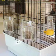 Снимка на Ferplast - Canto Canary and small exotic bird cage - Оборудвана клетка за канарчета, екзотични и други малки птици, 71 х 38 х 60,5 см. 3