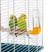 Снимка на Ferplast - Cage Rekord 3 White - Оборудвана клетка за канарчета, екзотични и други малки птици - размер 49 х 30 х 48,5 см. 4
