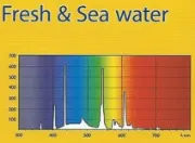 Снимка на Ferplast - Toplife 8W T5 - Осветление, лампа за сладководни и морски аквариуми, 28.8 см. 3