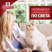 Снимка на HILL’S SCIENCE PLAN KITTEN С РИБА ТОН – ПОДРАСТВАЩИ КОТЕНЦА ОТ ОТБИВАНЕТО ДО 1Г., БРЕМЕННИ ИЛИ КЪРМЕЩИ КОТКИ 0.300 кг. 5