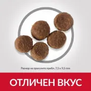 Снимка на HILL’S SCIENCE PLAN CANINE PUPPY MEDIUM С ПИЛЕШКО – ЗА ПОДРАСТВАЩИ КУЧЕТА ОТ СРЕДНИТЕ ПОРОДИ ДО 25 КГ., ОТ ОТБИВАНЕТО ДО 1 Г. БРЕМЕННИ И КЪРМЕЩИ КУЧЕТА 2.5 кг. 2