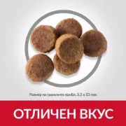 Снимка на HILL’S SCIENCE PLAN CANINE PUPPY LARGE BREED С ПИЛЕШКО – ЗА ПОДРАСТВАЩИ КУЧЕТА ОТ ЕДРИ И ГИГАНСТКИ ПОРОДИ, НАД 25КГ, ОТ ОТБИВАНЕТО ДО 18 МЕС. БРЕМЕННИ И КЪРМЕЩИ КУЧЕТА. 2.5 кг. 2