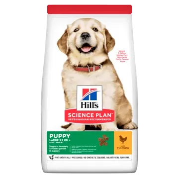 Показвай детайлите за HILL’S SCIENCE PLAN CANINE PUPPY LARGE BREED С ПИЛЕШКО – ЗА ПОДРАСТВАЩИ КУЧЕТА ОТ ЕДРИ И ГИГАНСТКИ ПОРОДИ, НАД 25КГ, ОТ ОТБИВАНЕТО ДО 18 МЕС. БРЕМЕННИ И КЪРМЕЩИ КУЧЕТА. 16 кг. 1 - MyPetShop.bg Снимка на HILL’S SCIENCE PLAN CANINE PUPPY LARGE BREED С ПИЛЕШКО – ЗА ПОДРАСТВАЩИ КУЧЕТА ОТ ЕДРИ И ГИГАНСТКИ ПОРОДИ, НАД 25КГ, ОТ ОТБИВАНЕТО ДО 18 МЕС. БРЕМЕННИ И КЪРМЕЩИ КУЧЕТА. 16 кг. 1