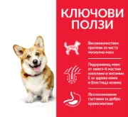 Снимка на HILL’S SCIENCE PLAN SMALL & MINI ADULT С ПИЛЕШКО – ПЪЛНОЦЕННА СУХА ХРАНА ЗА ДРЕБНИ И МИНИАТЮРНИ ПОРОДИ КУЧЕТА В ЗРЯЛА ВЪЗРАСТ 1-6 Г 6 кг. 3