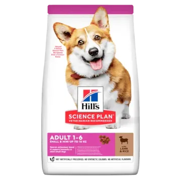 Показвай детайлите за HILL’S SCIENCE PLAN SMALL&MINI ADULT С АГНЕШКО И ОРИЗ – ПЪЛНОЦЕННА СУХА ХРАНА ЗА ДРЕБНИ И МИНИАТЮРНИ ПОРОДИ КУЧЕТА В ЗРЯЛА ВЪЗРАСТ 1-6 ГОД. 1.5 кг. 1 - MyPetShop.bg Снимка на HILL’S SCIENCE PLAN SMALL&MINI ADULT С АГНЕШКО И ОРИЗ – ПЪЛНОЦЕННА СУХА ХРАНА ЗА ДРЕБНИ И МИНИАТЮРНИ ПОРОДИ КУЧЕТА В ЗРЯЛА ВЪЗРАСТ 1-6 ГОД. 1.5 кг. 1