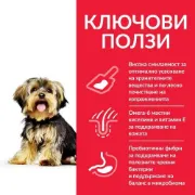 Снимка на HILL’S SCIENCE PLAN SMALL&MINI SENSITIVE STOMACH&SKIN ADULT С ПИЛЕШКО – ПЪЛНОЦЕННА СУХА ХРАНА ЗА ДРЕБНИ И МИНИАТЮРНИ ПОРОДИ КУЧЕТА В ЗРЯЛА ВЪЗРАСТ НАД 1 ГОДИНА С ЧУВСТВИТЕЛЕН СТОМАХ И КОЖА 6 кг. 2
