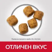 Снимка на HILL’S SCIENCE PLAN CANINE MEDIUM ADULT С АГНЕШКО И ОРИЗ – ПЪЛНОЦЕННА СУХА ХРАНА ЗА КУЧЕТА ОТ СРЕДНИ ПОРОДИ С УМЕРЕНИ ЕНЕРГИЙНИ НУЖДИ, 1-7 Г. 14 кг. 3