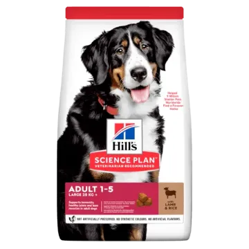 Показвай детайлите за HILL’S SCIENCE PLAN LARGE BREED ADULT С АГНЕШКО И ОРИЗ – ПЪЛНОЦЕННА ХРАНА ЗА КУЧЕТА ОТ ЕДРИ ПОРОДИ НАД 25 КГ С УМЕРЕНИ ЕНЕРГИЙНИ НУЖДИ, 1 – 6 Г. 14 кг. 1 - MyPetShop.bg Снимка на HILL’S SCIENCE PLAN LARGE BREED ADULT С АГНЕШКО И ОРИЗ – ПЪЛНОЦЕННА ХРАНА ЗА КУЧЕТА ОТ ЕДРИ ПОРОДИ НАД 25 КГ С УМЕРЕНИ ЕНЕРГИЙНИ НУЖДИ, 1 – 6 Г. 14 кг. 1