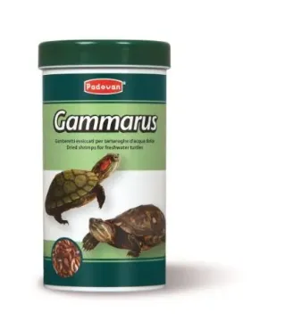 Показвай детайлите за Padovan Gammarus Храна за костенурки със скариди 30гр./250 мл. 1 - MyPetShop.bg Снимка на Padovan Gammarus Храна за костенурки със скариди 30гр./250 мл. 1
