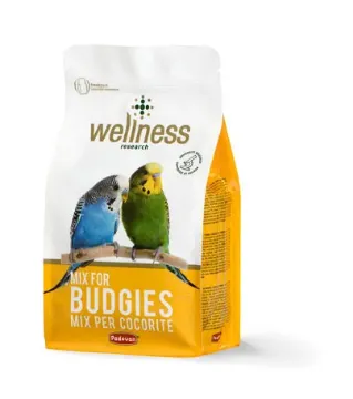 Показвай детайлите за Padovan Wellness Mix for Budgies Премиум храна за вълнисти папагали 1 кг 1 - MyPetShop.bg Снимка на Padovan Wellness Mix for Budgies Премиум храна за вълнисти папагали 1 кг 1