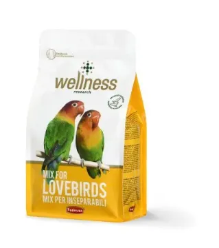 Показвай детайлите за Padovan Wellness Mix for Lovebirds Премиум храна за неразделки 850 гр 1 - MyPetShop.bg Снимка на Padovan Wellness Mix for Lovebirds Премиум храна за неразделки 850 гр 1