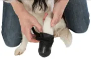 Снимка на Walker Active Protective Dog Boots - Предпазни обувки за кучета XL 2