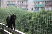 Снимка на Trixie Protective Net Reinforced - Предпазна мрежа 8 х 3 метра 2