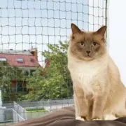 Снимка на Trixie Protective Net Reinforced - Предпазна мрежа 8 х 3 метра 3