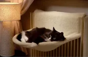 Снимка на Camon Good Sleep -Легло за парно за котки 46х32х26h 1