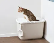 Снимка на Savic HOP IN - Закрита котешка тоалетна с капак и вход отгоре, антрацит,58.5 х 39 х 39.5 см. 1