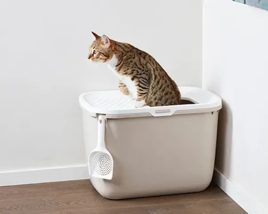 Снимка на Savic HOP IN - Закрита котешка тоалетна с капак и вход отгоре, антрацит,58.5 х 39 х 39.5 см.