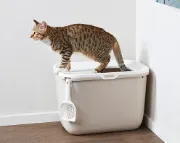 Снимка на Savic HOP IN - Закрита котешка тоалетна с капак и вход отгоре, антрацит,58.5 х 39 х 39.5 см. 2