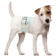 Снимка на Simple Solution -Памперси за женски кучета L/XL 12 бр. 2