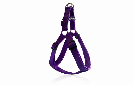 Снимка на Pet Interest S- Нагръдник за кучета, изкуствена лента 1.5/35-55 см - лилав