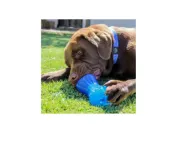 Снимка на Rogz Yumz Medium - Кучешки кокал за дъвчене с дупка за лакомства 11.5 см. зелен лайм 2