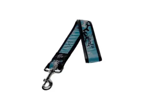 Снимка на Rogz Turquoise chrome XXL - Повод за кучета , 40мм / 50 см. тюркоазно синьо