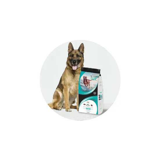 Снимка на Top Dog - Salmon - Суха храна за израснали кучета със сьомга 20 кг.