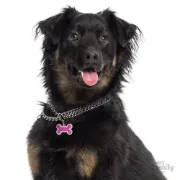Снимка на My Family Swarovski's BIG FUCHSIA Dog Tag Big Bone Strass - Ръчно изработен медальон кокал - адресник за кучета 2.5 см. / 3.8 см. розов 2