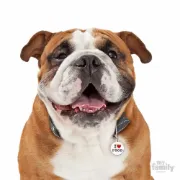 Снимка на My Family Dog Tag - Ръчно изработен медальон , с надпис I Love Food - адресник за кучета 3.93 см. /3.17 см. 2