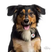Снимка на My Family Dog Tag - Ръчно изработен медальон , с надпис I Love Mom - адресник за кучета 3.93 см. /3.17 см. 2