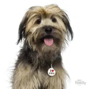 Снимка на My Family Dog Tag - Ръчно изработен медальон , с надпис I Love You - адресник за кучета 3.93 см. /3.17 см. 2
