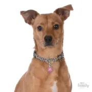 Снимка на My Family Dog Tag - Ръчно изработен медальон , с надпис The Queen - адресник за кучета 3.93 см. /3.17 см. розов 2