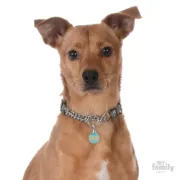 Снимка на My Family Dog Tag - Ръчно изработен медальон , с надпис Yeah - адресник за кучета 3.93 см. /3.17 см. син 2