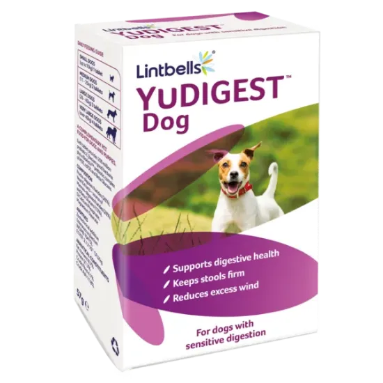 Снимка на Lintbells YuDIGEST – Висококачествен пробиотик ,овкусени таблетки за кучета с чувствителна храносмилателна система 120 таблетки