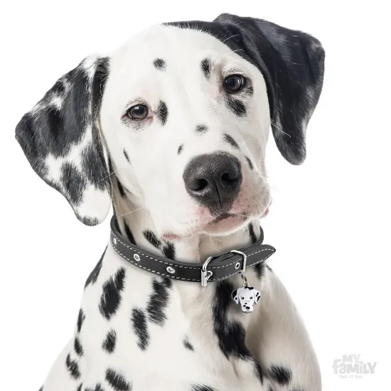 Снимка на My Family Dog Tag - Ръчно изработен адресник , Dalmatian Dog за кучета 2.5 см/ 2.8 см.