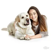 Снимка на My Family Dog Tag - Ръчно изработен адресник , Labrador Dog за кучета 3.3 см/ 2.6 см. кремав 2