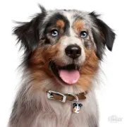 Снимка на My Family Dog Tag - Ръчно изработен адресник ,Australian Shepard Dog за кучета 3.0 см/ 3.0 см. 2
