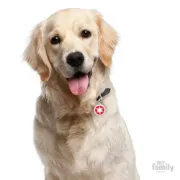 Снимка на My Family Dog Tag - Ръчно изработен кръга адресник със снежинка , за кучета 3.93 см/ 3.17 см. червен 2