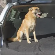 Снимка на Duvo Plus Trunk Cover - Постелка за автомобил, за кучета 180 см./130 см. 2