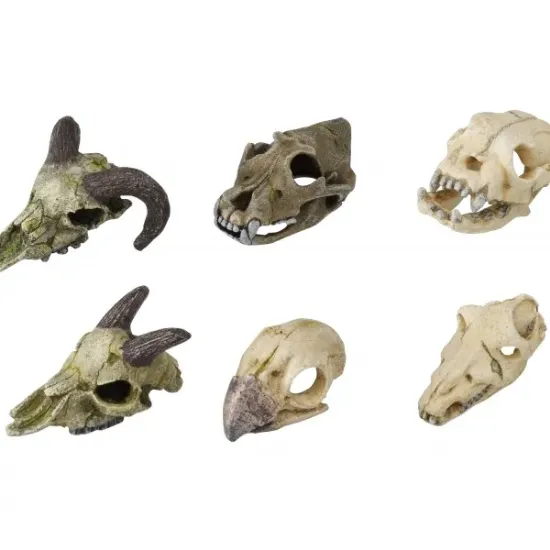 Снимка на Duvo Plus Skull Mini Assorted - Декорация за аквариуми , скелети ,7-10 см.
