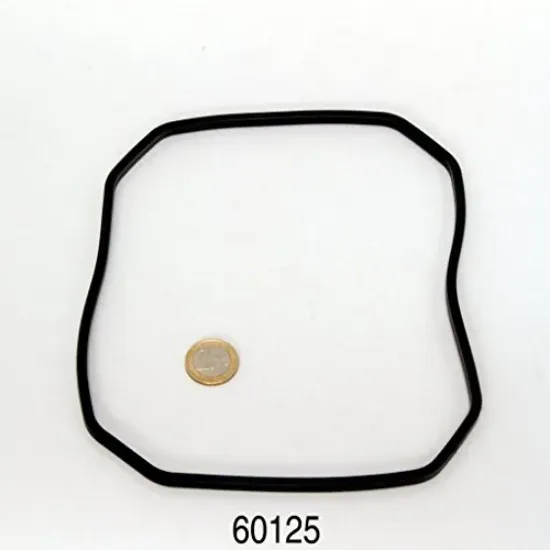 Снимка на JBL CP e700/1, е 900/1 pump head rubber gasket – Уплътнение за външен филтър Cristal Profi e700/1, е 900/1
