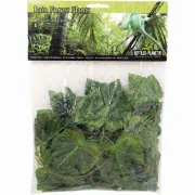 Снимка на Savannah Amazon Jungle Vine to roll Reptiles-Planet - Декоративно растения за тропически терариум, 2.6 м. 1