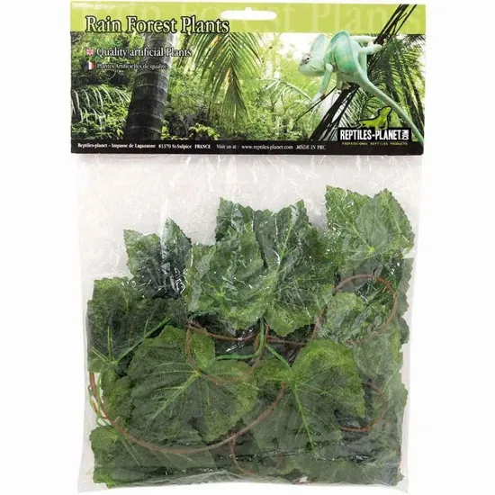 Снимка на Savannah Amazon Jungle Vine to roll Reptiles-Planet - Декоративно растения за тропически терариум, 2.6 м.